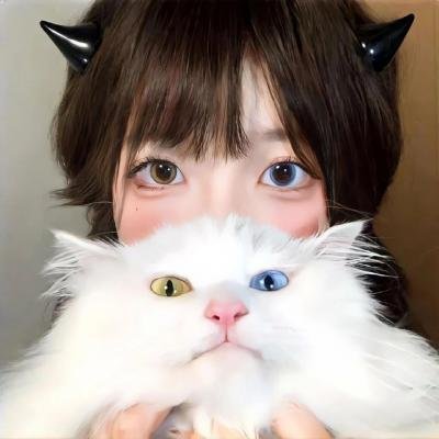 浴血黑帮第六季